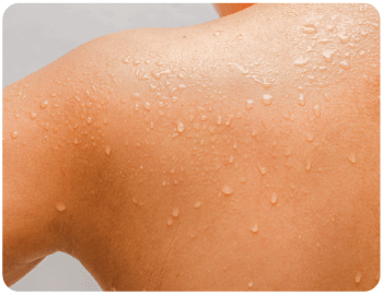 健康を守る免疫力を上げる